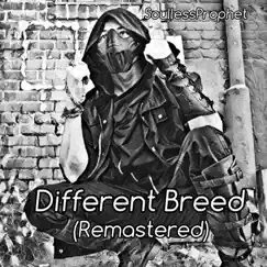 Different Breed (Remastered) Song Lyrics