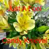 Just a Fool - Single album lyrics, reviews, download