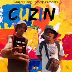 Cuzin' (feat. 6xShots) - Single by TeeFlame album reviews, ratings, credits