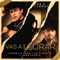 Vas a Llorar - Single by Cornelio Vega y Su Dinastía & Joss Favela album reviews, ratings, credits