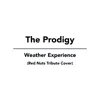 Weather Experience - Single album lyrics, reviews, download
