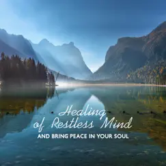 Healing of Restless Mind and Bring Peace in Your Soul by Various Artists album reviews, ratings, credits