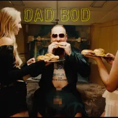 Dad Bod Song Lyrics