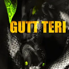 Gutt Teri (feat. Vsinghs, Pavvan & Keetview$) Song Lyrics