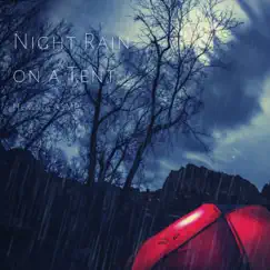 Night Rain on a Tent for Relaxation, Deep Sleep, Insomnia, Meditation and Study - Single by Healing ASMR album reviews, ratings, credits