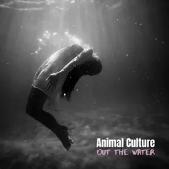 Out the Water - Single by Animal Culture album reviews, ratings, credits