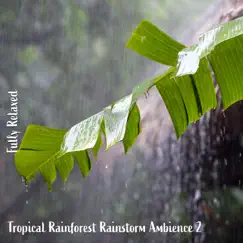 Tropical Rainforest Rainstorm Ambience, Pt. 4 Song Lyrics