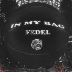 In My Bag - Single by Fedel album reviews, ratings, credits