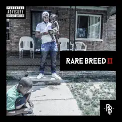 Rare Breed, Vol. 2 by Donnie B album reviews, ratings, credits