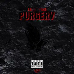 Purgery - Single by Lil Jayski album reviews, ratings, credits