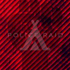 Police Raid - Single by Skoden album reviews, ratings, credits