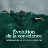 Évolution de la conscience: Extermination du stress subconscient album lyrics, reviews, download