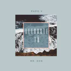 Llegaste Tú (Remix) [feat. MR. Don] - Single by Papo V album reviews, ratings, credits