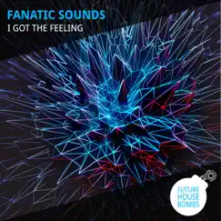 I Got the Feeling - Single by Fanatic Sounds album reviews, ratings, credits