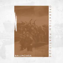 Operation Fortitude 2020 - Single by Ballinciaga album reviews, ratings, credits