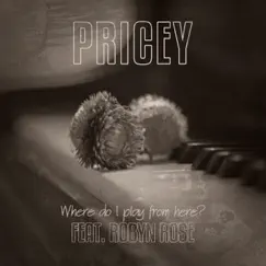 Where Do I Play From Here? (feat. Robyn Rose) - Single by Pricey album reviews, ratings, credits
