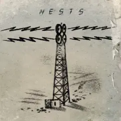 Nests by Howard Stelzer & Nerve Net Noise album reviews, ratings, credits