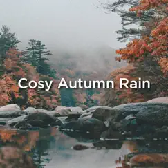 Cosy Rain Song Lyrics