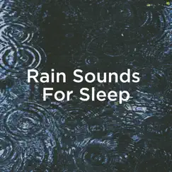 Baby Sleep Rain Song Lyrics