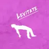 Levitate (feat. John Luis) - Single album lyrics, reviews, download