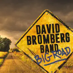 Lovin' of the Game - Single by David Bromberg Band album reviews, ratings, credits