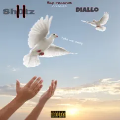 Take Me Away (feat. Diallo) - Single by Sh0tz11 album reviews, ratings, credits