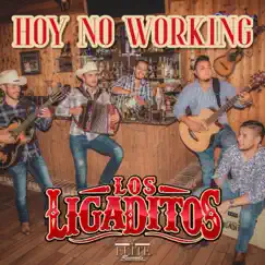 Hoy No Working Song Lyrics