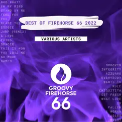 Best of Firehorse 66 2022 (Extended Mixes) by Various Artists album reviews, ratings, credits