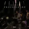Profetizaré (Shekinah Live) [feat. Marcos Brunet] - Single album lyrics, reviews, download