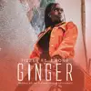 Ginger (feat. Tbone) - Single album lyrics, reviews, download