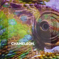Chameleon (Live Stream, Pt. 1) by Boris Brejcha album reviews, ratings, credits