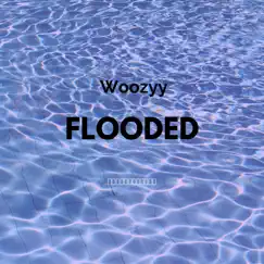 Flooded - Single by Woozyy album reviews, ratings, credits