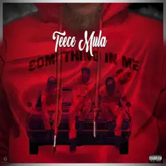 Something In Me - Single by Teece Mula album reviews, ratings, credits
