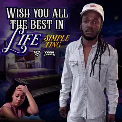 Wish You All the Best In Life - Single by Simple Ting album reviews, ratings, credits