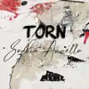 Torn - Single album lyrics, reviews, download