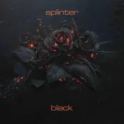 Black by Splinter album reviews, ratings, credits