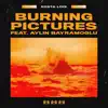 Burning Pictures (feat. Aylin Bayramoglu) - Single album lyrics, reviews, download