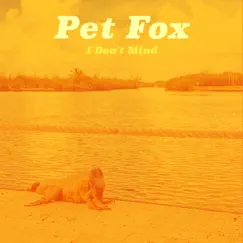 I Don't Mind - Single by Pet Fox album reviews, ratings, credits