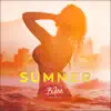 Summer (Instrumental) song lyrics