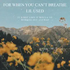 It's Not Like It Would've Worked Out Anyway - Single by For When You Can't Breathe & Lil Used album reviews, ratings, credits