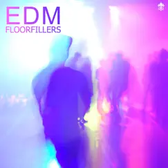 EDM Floorfillers by Various Artists album reviews, ratings, credits