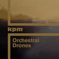 Orchestral Drones by Various Artists album reviews, ratings, credits
