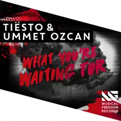 What You're Waiting For - Single by Tiësto & Ummet Ozcan album reviews, ratings, credits