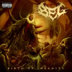 Birth of Insanity Song Lyrics