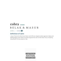 Cobra - Single by Belak album reviews, ratings, credits