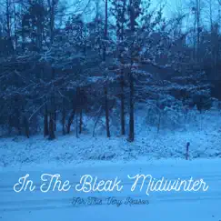 In the Bleak Midwinter - Single by For This Very Reason album reviews, ratings, credits