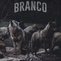 Branco - Single by Il Direttore album reviews, ratings, credits