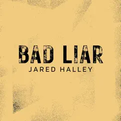 Bad Liar (Acapella Version) - Single by Jared Halley album reviews, ratings, credits