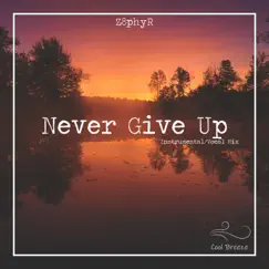 Never Give Up (Instrumental) Song Lyrics