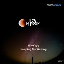 Why You Keeping Me Waiting - Single by Kye Murray album reviews, ratings, credits
